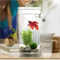 Самоочищающийся акриловый аквариум для рыбок My Fun Fish Мини-аквариум с краном для легкого очищения