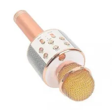 Беспроводной караоке-микрофон Bluetooth Wster WS-858 CG01 PR3 Беспроводной караоке-микрофон Bluetooth Wster WS-858 CG01 PR3