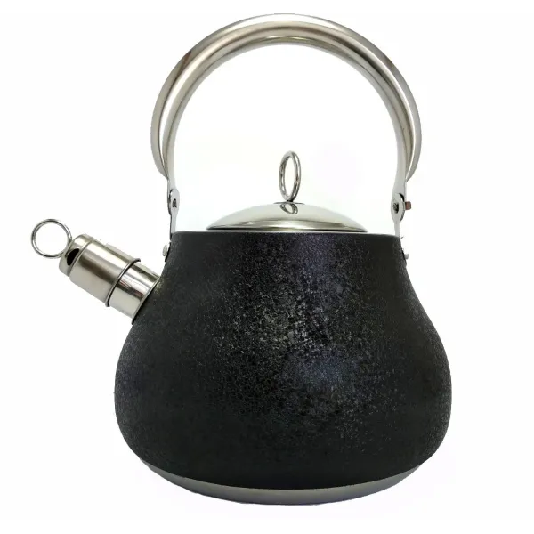 Черный чайник со свистком из нержавеющей стали BN-720, 2.7 л