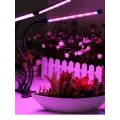 Фитолампа для растений 3 лампы • Гибкий LED-фитосветильник на прищепке для рассады и комнатных растений