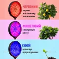 Фитолампа для растений с таймером и регулировкой яркости • Круглая LED лампа для цветов на 4 головки