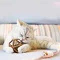 Іграшка для котів KAR353 • М'ячик із мататабі KAR353 з котячою м'ятою діаметром 7,5 см для кошенят і дорослих котів, ігор і жування