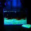 Светящиеся камни KAR280 3000 шт • Декоративная люминесцентная галька KAR280 для аквариума, вазонов, сада и ландшафтного декора