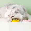 Кошачья мята AND LY-757 для котов • Игрушка-шарик Pet Toy LY-757 с кошачьей мятой, вращающимся роликом и креплением на поверхность