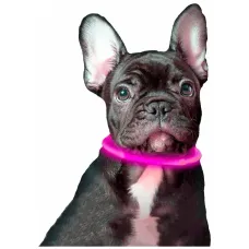 Светящийся LED ошейник для собак универсальный с регулируемой длиной 10-70 см ∙ USB зарядка ∙ 3 режима свечения