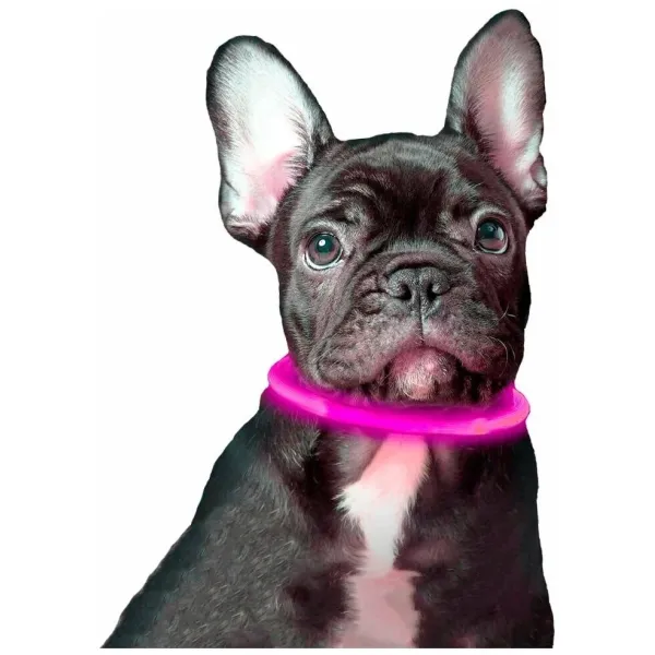 Светящийся LED ошейник для собак универсальный с регулируемой длиной 10-70 см ∙ USB зарядка ∙ 3 режима свечения