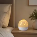 LED-нічник MA697 з Bluetooth-динаміком і пультом ДК, 48 шт. в ящику • Дитячий світильник-проєктор для спальні з живленням від USB або акумулятора