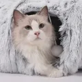 Лежанка-домик KAR247 серая • Складная лежанка для кошек KAR247 3 в 1 с игровым тоннелем, съёмной мягкой подушкой, размер 84×26 см