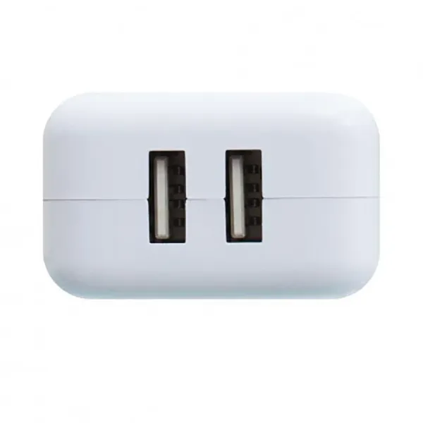 Мобильная зарядка 220V BOROFONE BA18