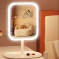 Настольное зеркало для макияжа KAR192 с LED-подсветкой белое • Аккумуляторное косметическое зеркало KAR192 с сенсорным управлением, 3 режимами света и органайзером