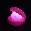 Ночник Ракушка с жемчужиной Perl Light · LED светильник настольный беспроводной с USB зарядкой