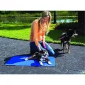 Охлаждающий коврик для собак Pet Cool Mat Самоохлаждающаяся подстилка для животных, 40х30 см