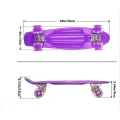 Пенни борд Penny board Детская скейт доска с светящимися колесами Fish Skateboards