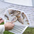 Підвісна сітка для сушіння риби KAR179 4 яруси 60х40х126 см біла • Чотириярусна сушарка для грибів, овочів, фруктів і продуктів