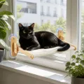 Подвесной гамак для кота KAT-03 на присосках, 62×40 см • лежак к оконному стеклу с высотой крепления 23 см для отдыха у окна