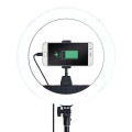 Светодиодная кольцевая LED лампа ZB-R14 (1 крепл.тел.) 220V (35см) | Портативная лампа для селфи без штатива