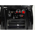 Колонка портативная акустическая система с микрофоном и FM радио BT Golon RX 810
