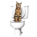 Система приучения кошек к унитазу Туалет для кота Citi Kitty Cat Toilet Training