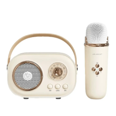 Акустическая система «RETRO» с микрофоном ∙ Беспроводная портативна Bluetooth колонка на аккумуляторе ∙ Мини-караоке