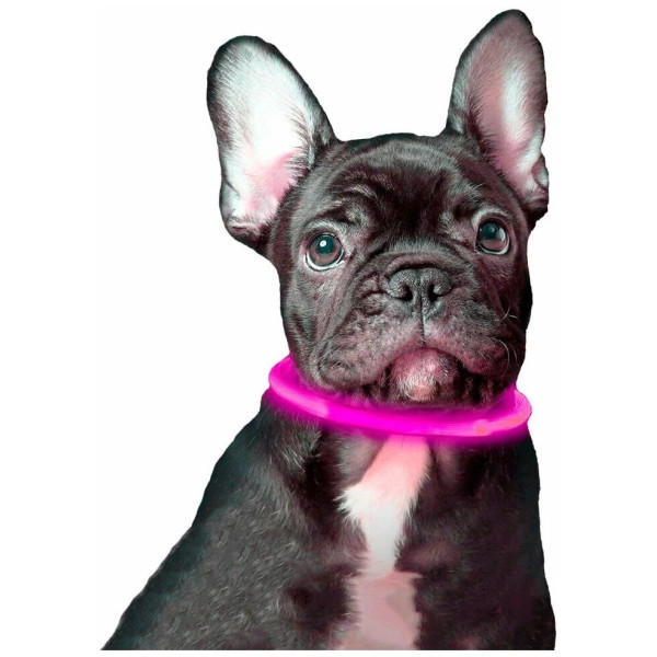 Светящийся LED ошейник для собак универсальный с регулируемой длиной 10-70 см ∙ USB зарядка ∙ 3 режима свечения