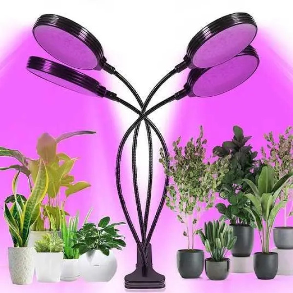 Фитолампа для растений с таймером и регулировкой яркости • Круглая LED лампа для цветов на 4 головки