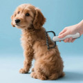 Щетка для вычесывания шерсти • Чесалка для животных Pet Comb