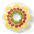 Сушка для фруктов Food Dehydrator 5 секций Happy Home SX-770 • Сушилка для овощей и фруктов на 5 поддонов