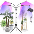 Светодиодная лампа для фотосинтеза растений с 4 линиями освещения на штативе • LED-лампа для роста рассады и комнатных растений с 4 линиями