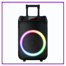 Колонка Bluetooth Wireless Speaker TTD-1209 с микрофонами и пультом ДУ ∙ Портативная TTD-1209 Bluetooth колонка 12