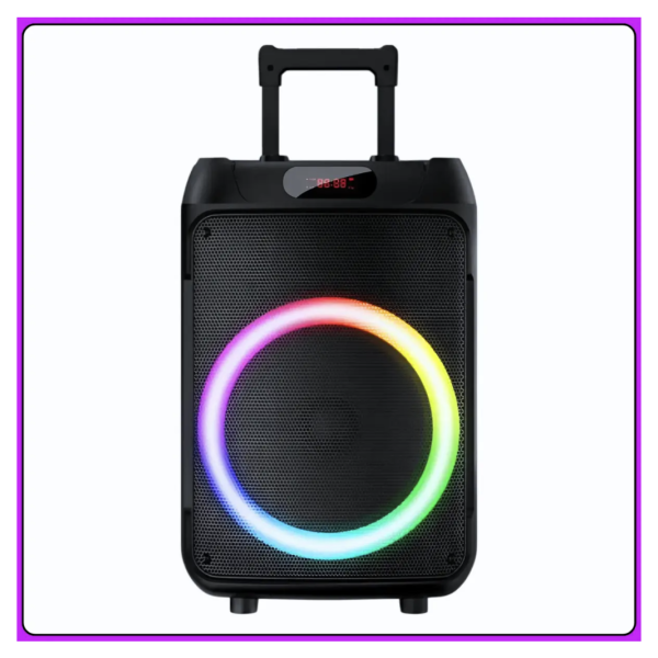 Колонка Bluetooth Wireless Speaker TTD-1209 с микрофонами и пультом ДУ ∙ Портативная TTD-1209 Bluetooth колонка 12