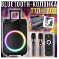 Колонка Bluetooth Wireless Speaker TTD-1209 с микрофонами и пультом ДУ ∙ Портативная TTD-1209 Bluetooth колонка 12