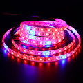 Светодиодная фитолента SMD 5050 RGBW с цветным и белым светом ∙ Универсальная LED-лента SMD 5050 RGBW