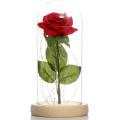 Роза в колбе в подарочной упаковке красная N2 ∙ Настольная роза в колбе с LED-подсветкой N2