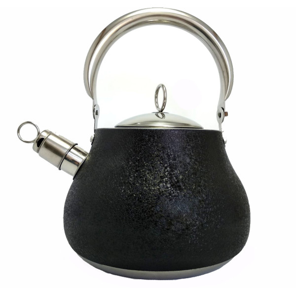 Черный чайник со свистком из нержавеющей стали BN-720, 2.7 л