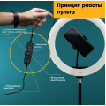 Кольцевая LED лампа S31 Светодиодная USB лампа с креплением держателем телефона, 33см