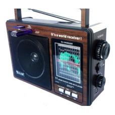 Портативный радиоприемник Golon RX-9966 UAR с встроенным аккумулятором, USB, SD, FM радио Портативный радиоприемник Golon RX-9966 UAR с встроенным аккумулятором, USB, SD, FM радио