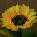 Садовый светильник Подсолнух на солнечной батарее • Декоративный уличный фонарь для сада, клумбы, двора, дорожки и дачного участка