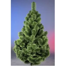 Сосна распушенная 2.2 м