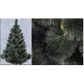 Сосна с белыми кончиками 2,2 м