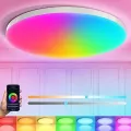 Потолочный светильник Ceiling Lamp Smart с RGB-подсветкой и пультом управления • LED люстра 24 Вт для современного интерьера