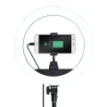 Светодиодная кольцевая LED лампа ZB-R14 (1 крепл.тел.) 220V (35см) | Портативная лампа для селфи без штатива