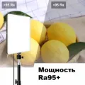 Світло блогера LED LAMP PL-26 • Кільцева LED-лампа для фото, відео, макіяжу, стримів і зйомки контенту