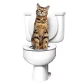 Система приучения кошек к унитазу Туалет для кота Citi Kitty Cat Toilet Training