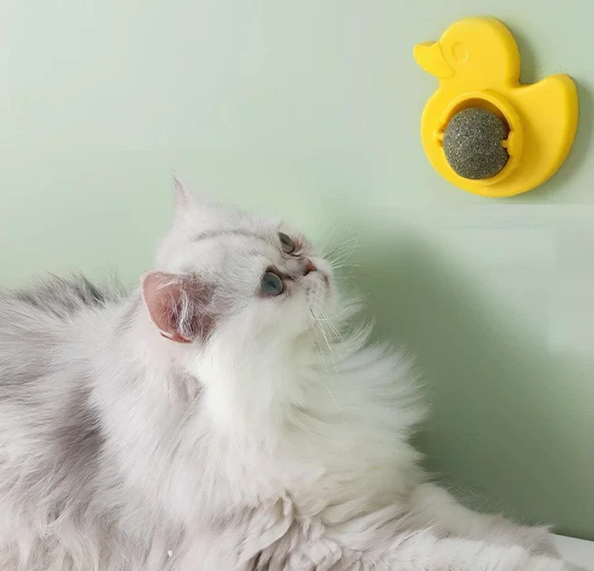 Котяча м'ята AND LY-757 для котів • Іграшка-кулька Pet Toy LY-757 з котячою м'ятою, обертовим роликом і кріпленням на поверхню